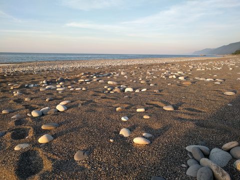 砂を泳ぐ魚