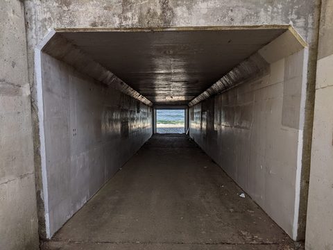 海を渡って