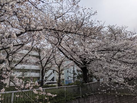 南田中銀座四丁目